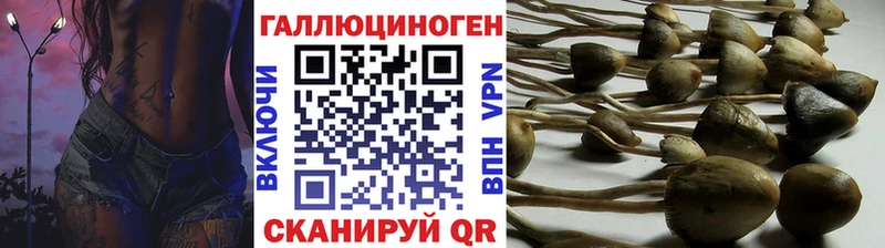 Галлюциногенные грибы ЛСД  Ак-Довурак 